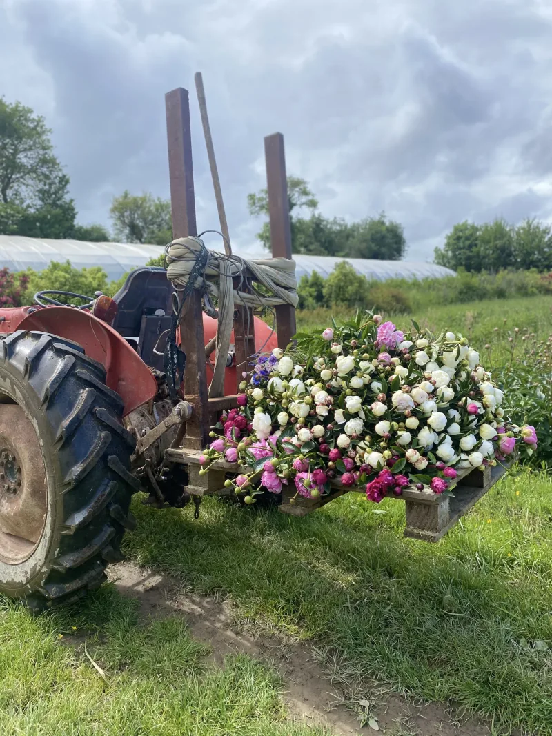 Vue de l'exploitation florale Fleurs du Temps