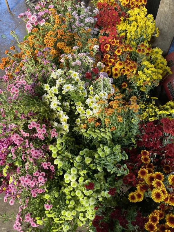 Bouquet de saison 1