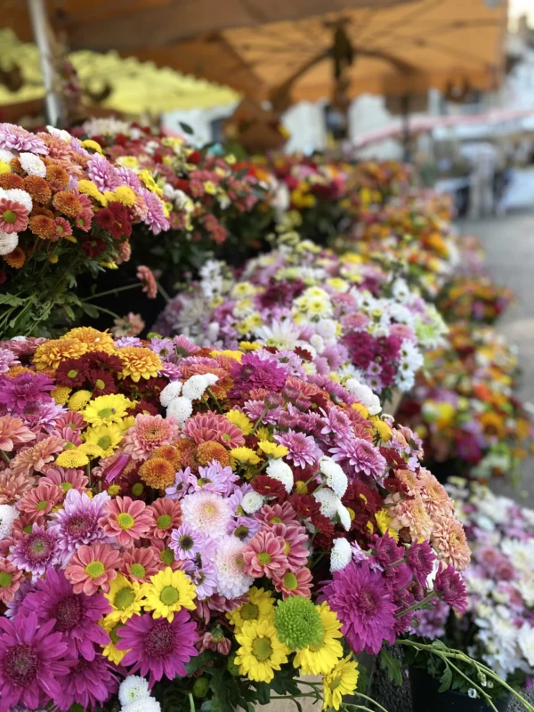 Bouquet de saison 4