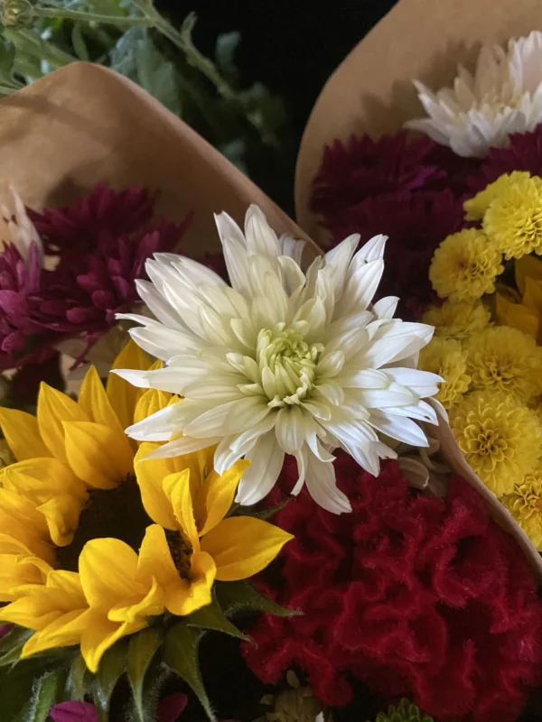 Bouquet de saison 1
