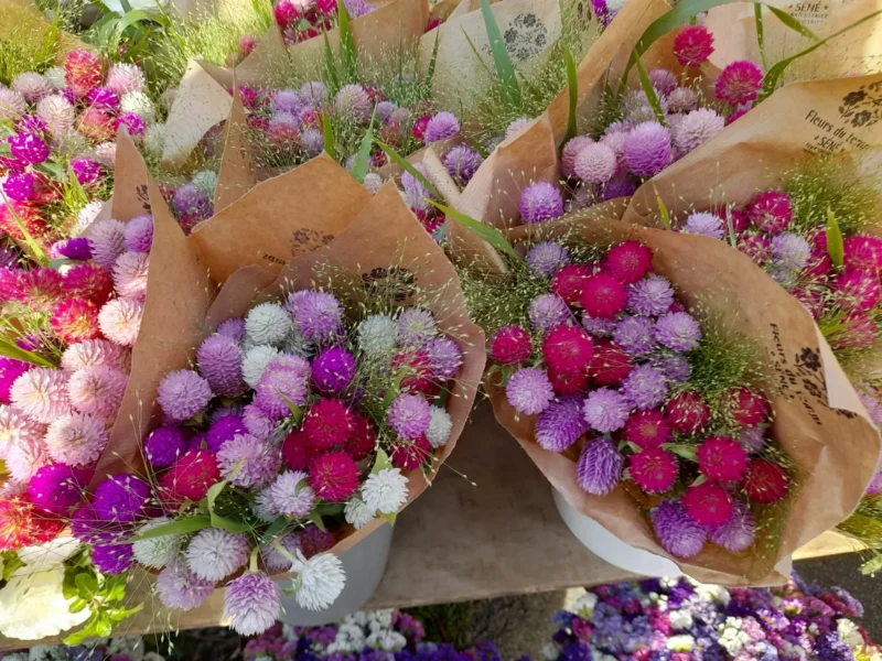 Bouquet de saison 1