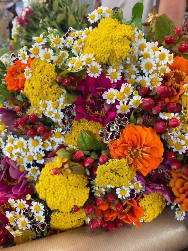 Bouquet de saison 1