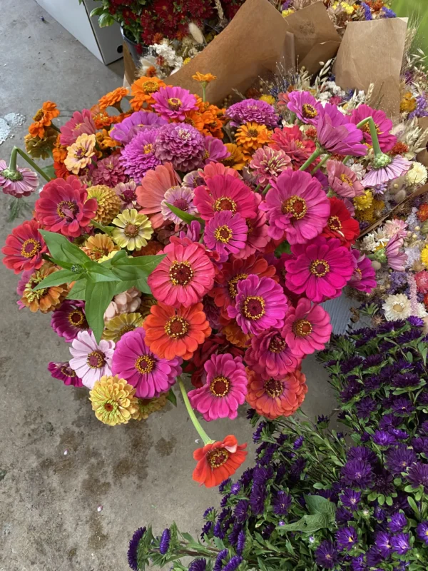 Bouquet de saison 1