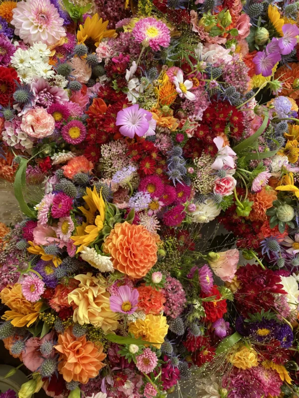 Bouquet de saison 1