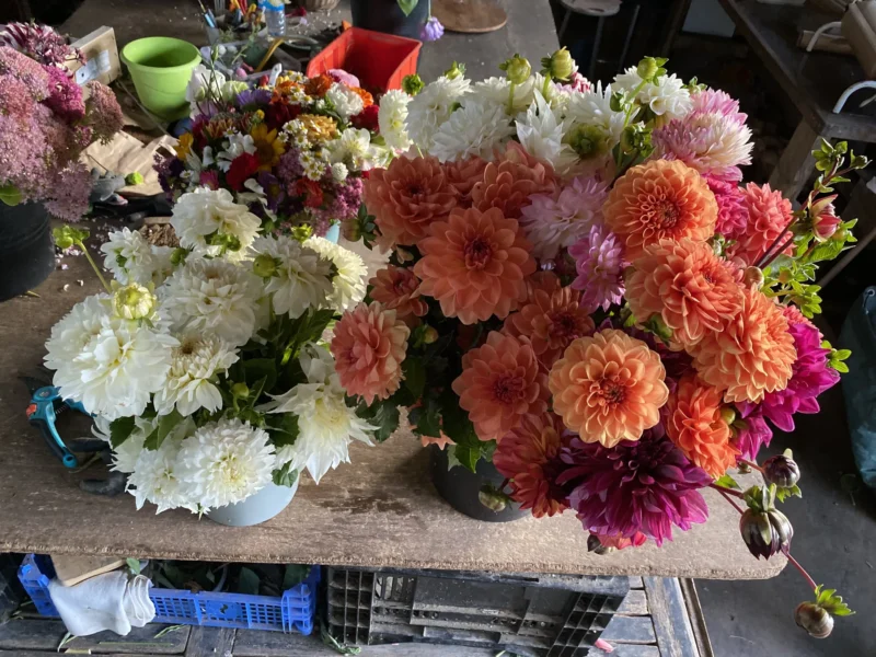 Bouquet de saison 4