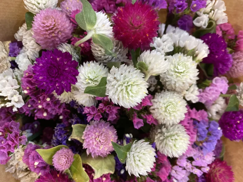 Bouquet de saison 3