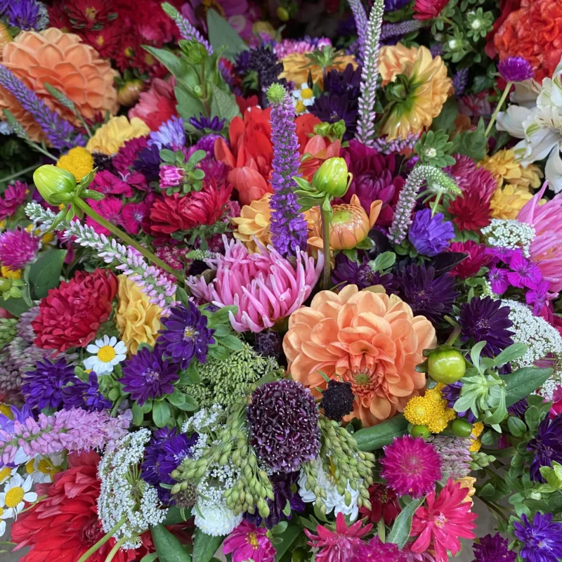 Bouquet de saison 1