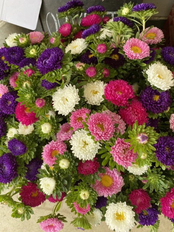 Bouquet de saison 1