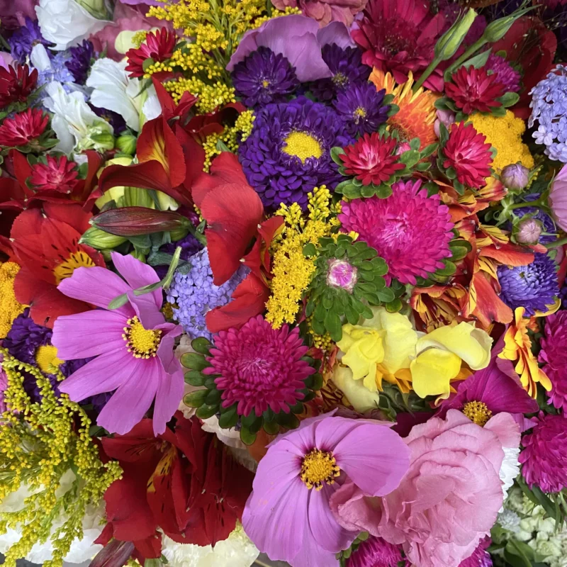 Bouquet de saison 4