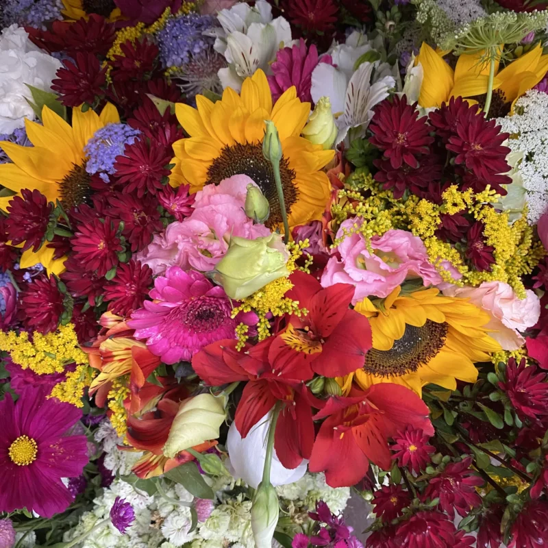 Bouquet de saison 1