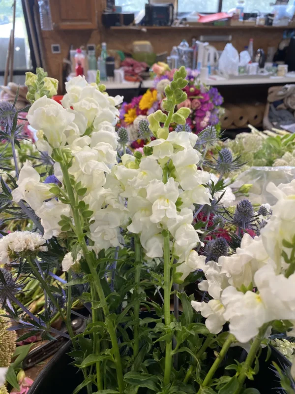 Bouquet de saison 3