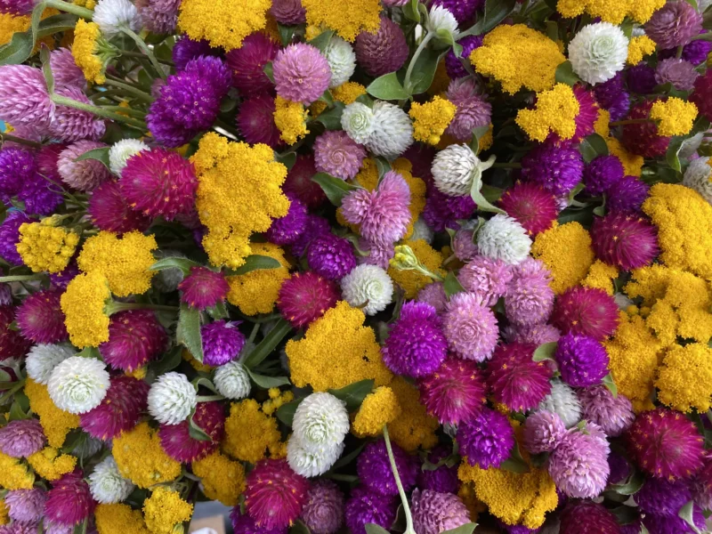 Bouquet de saison 4