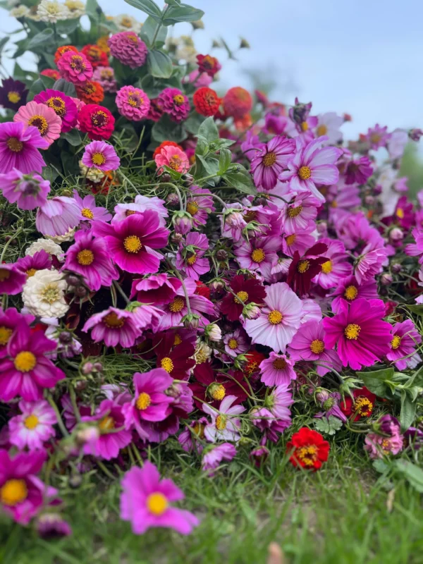 Bouquet estival aux couleurs vives