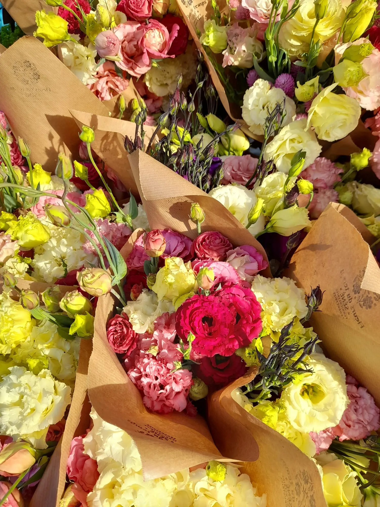 Lisianthus