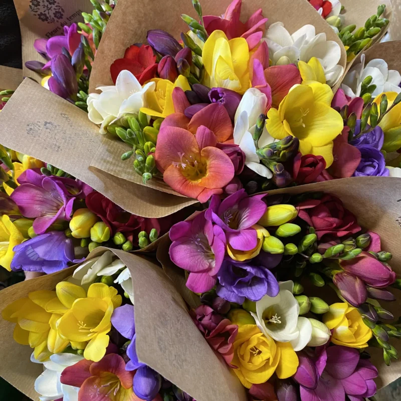 Bouquet de saison 1