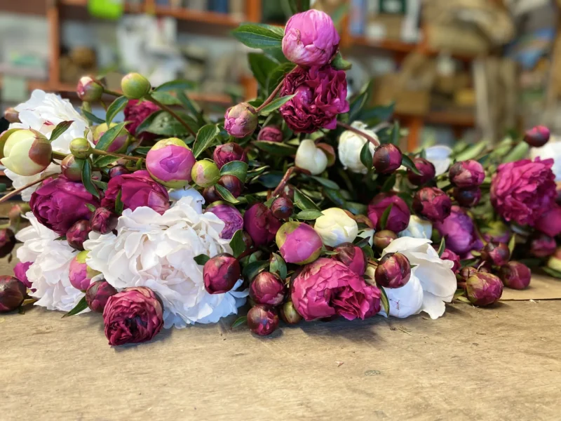 Bouquet de saison 4